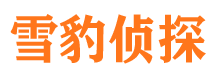 凭祥市调查公司